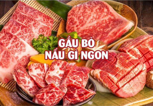 Gầu bò nấu gì ngon